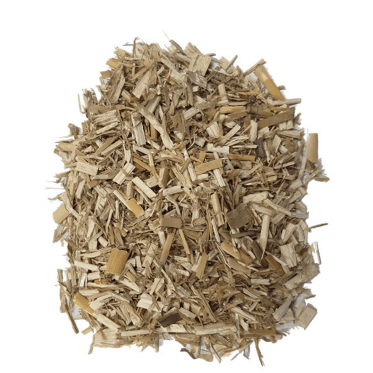 MISCANTHUS