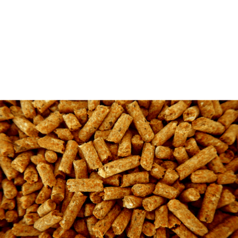 PELLET