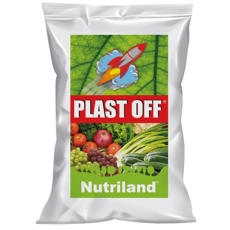 PLAST OFF