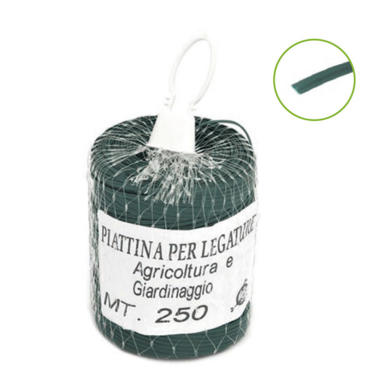 PIATTINA IN ROCCHELLE