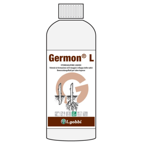 GERMON LEGNOSE