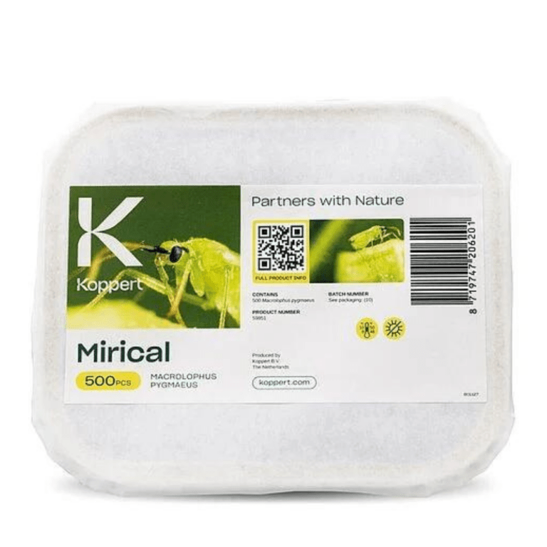 MIRICAL