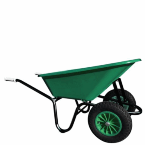 CARRIOLA GARDENIA