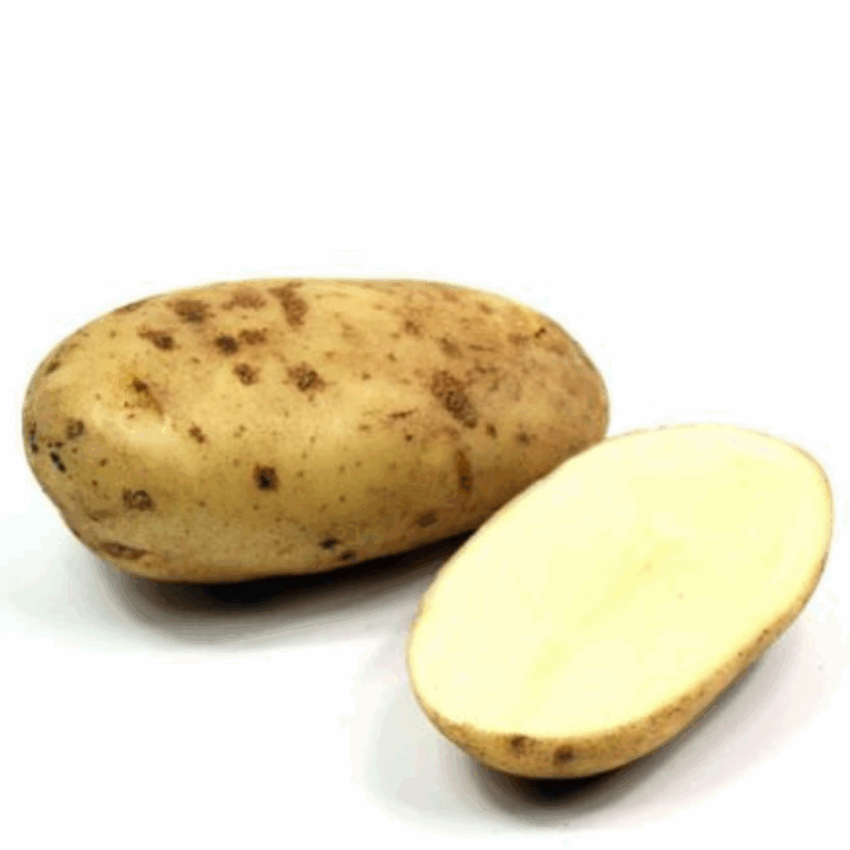 SEME PATATA MONNALISA OLANDA