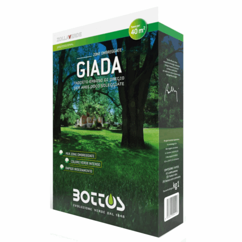 SEME PRATO GIADA